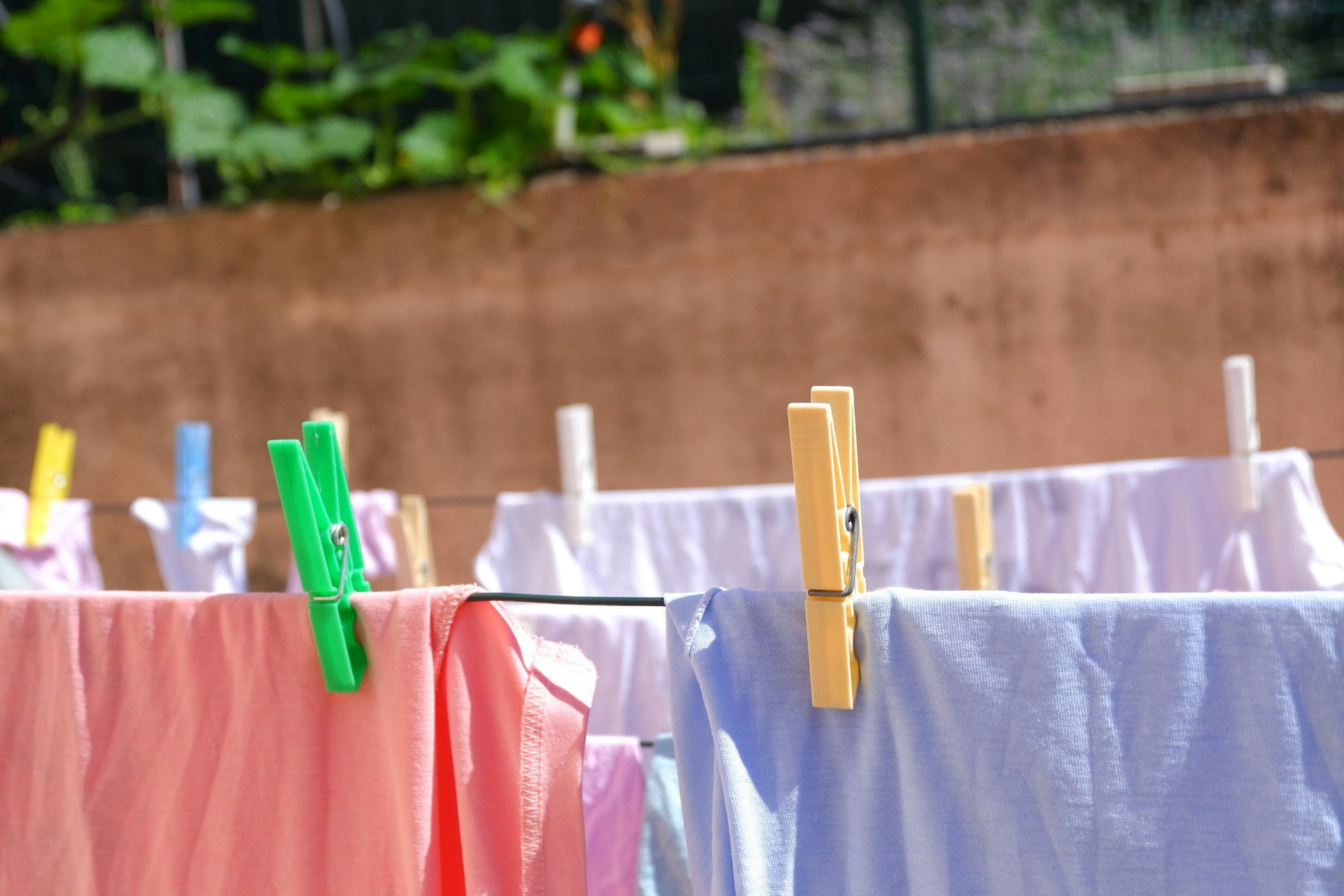 Elevate Your Cleaning Routine with Puracy