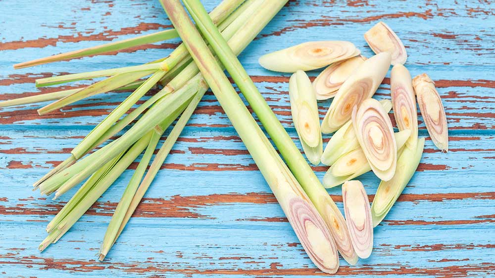 11 Reasons to Use Lemongrass Essential Oil