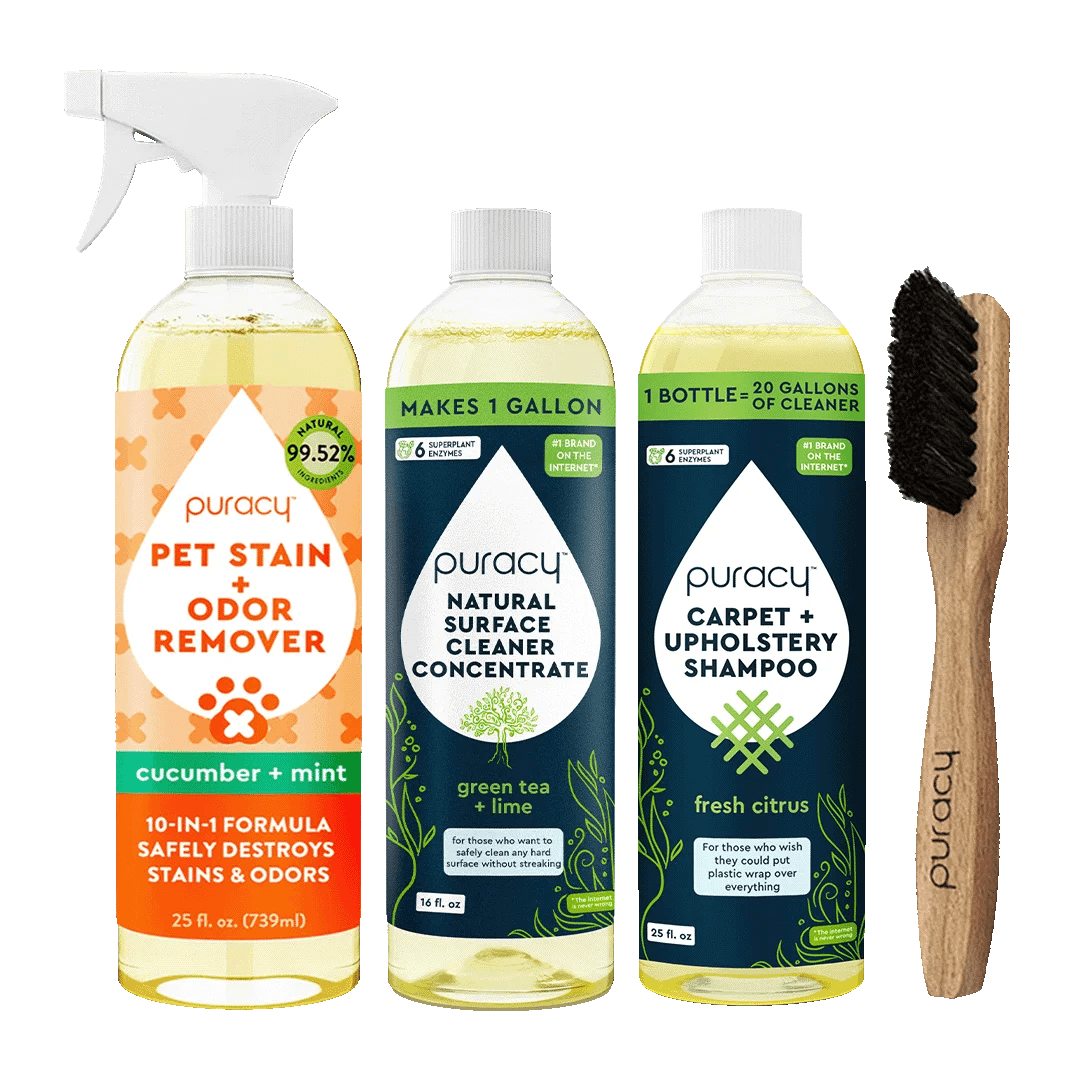 Be Super Clean Shampoo 16 oz