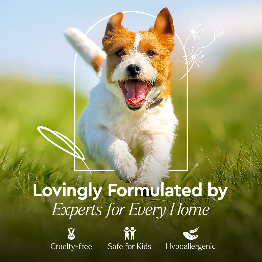 #scent_cucumber-mint refill_#size