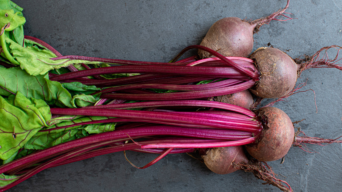 Betaine - What It Is and How It's Made