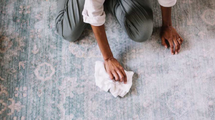 The 13 Best Carpet Stain Removers for DIY Cleaning