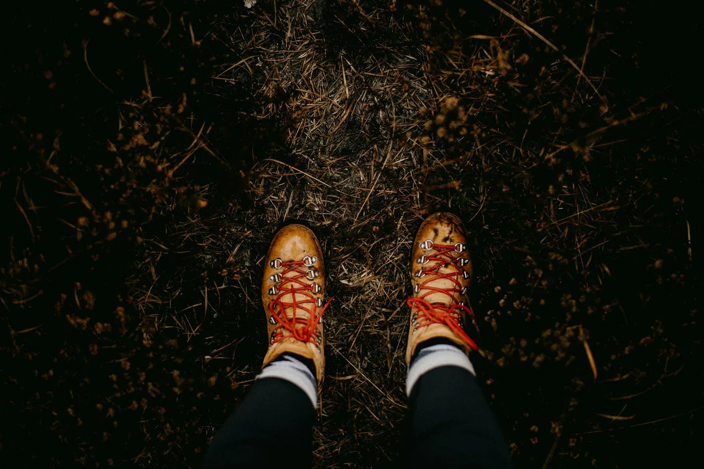 Tackling Seasonal Messes: Fall Cleaning Tips You’ll Actually Use