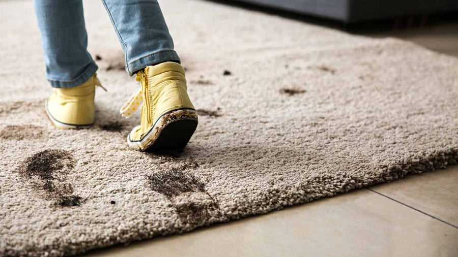 This Natural Carpet Shampoo Really Works (Really Well)