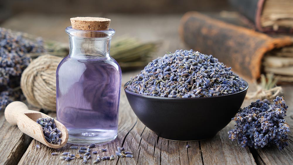 how is lavender essential oil made
