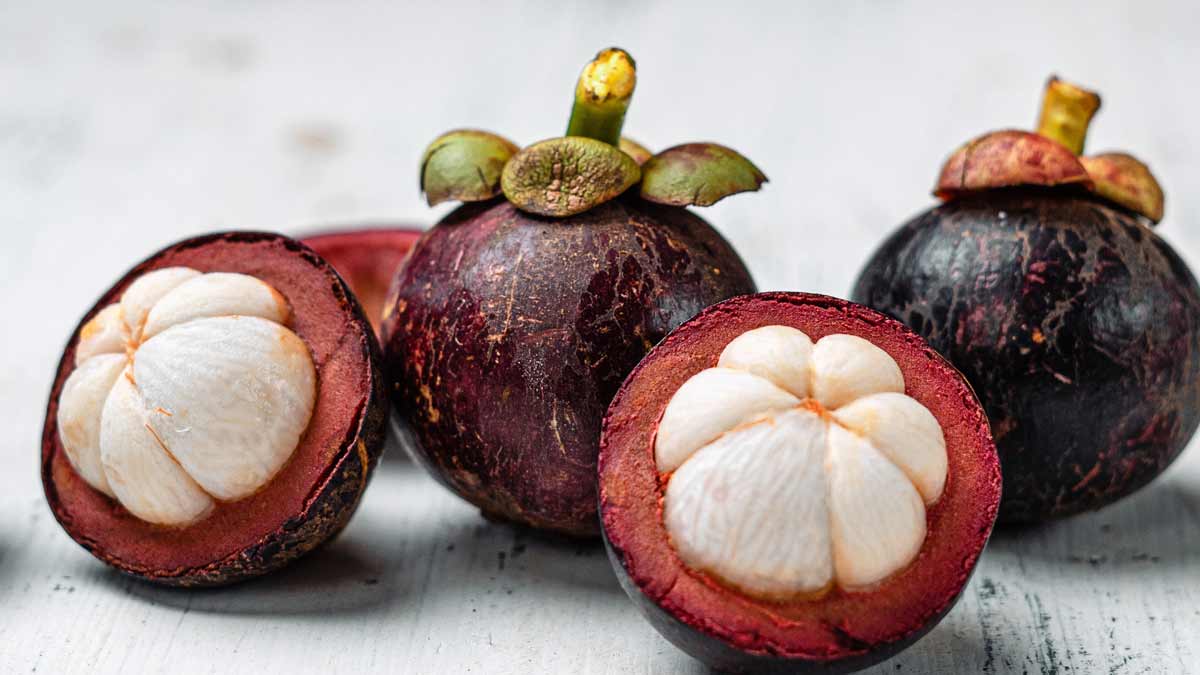 garcinia mangostana peel