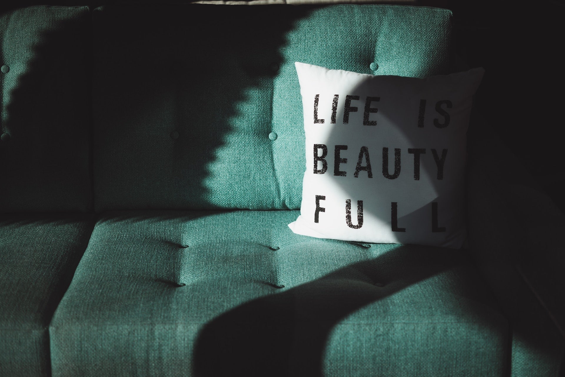 How to Clean Your Polyester Couch and Best Care Tips