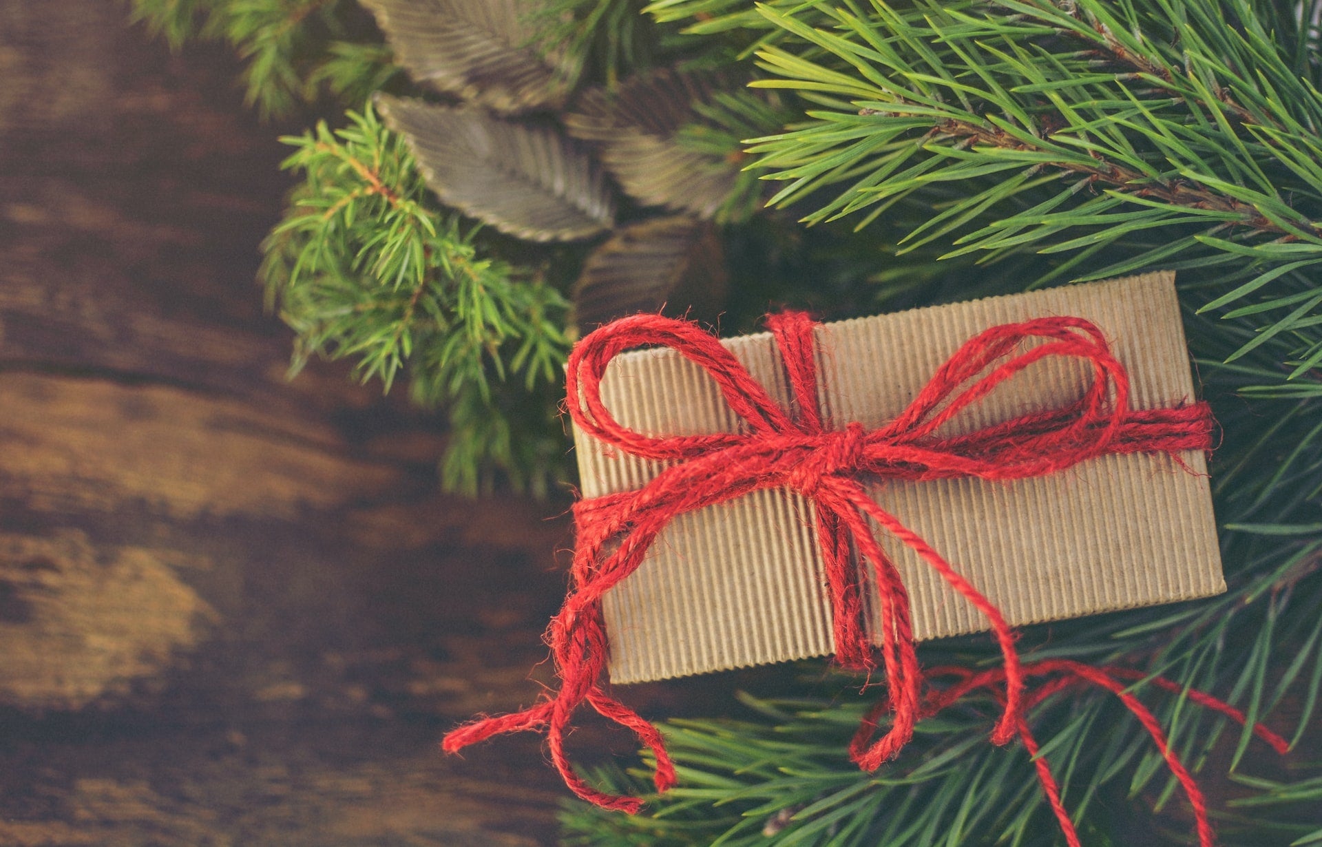 Natural Products For All Your Loved Ones: A Holiday Gift Guide