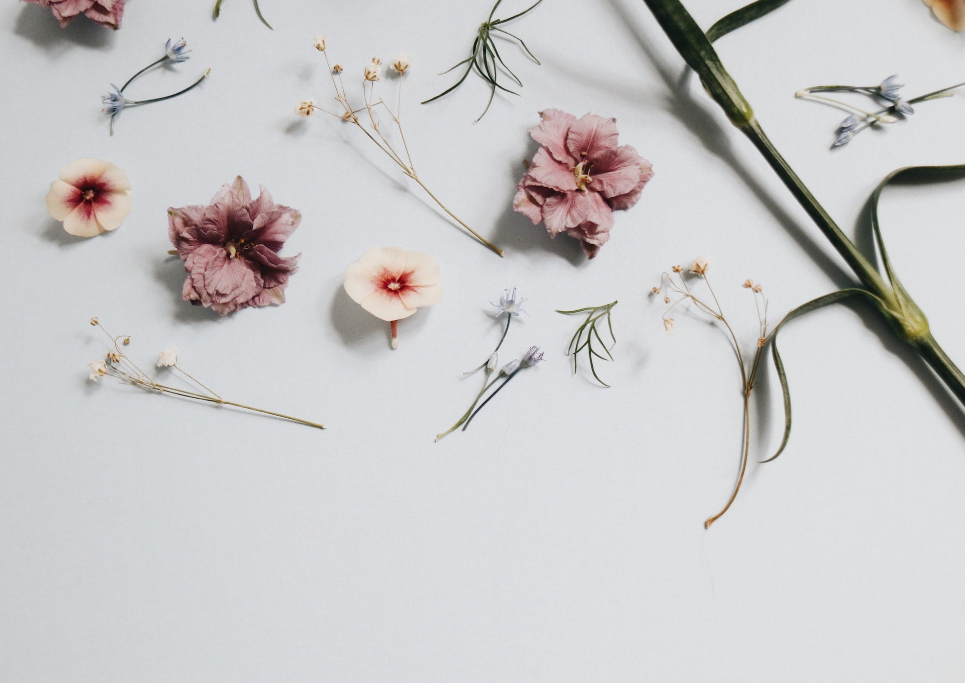 A Guide to Synthetic and Natural Fragrances