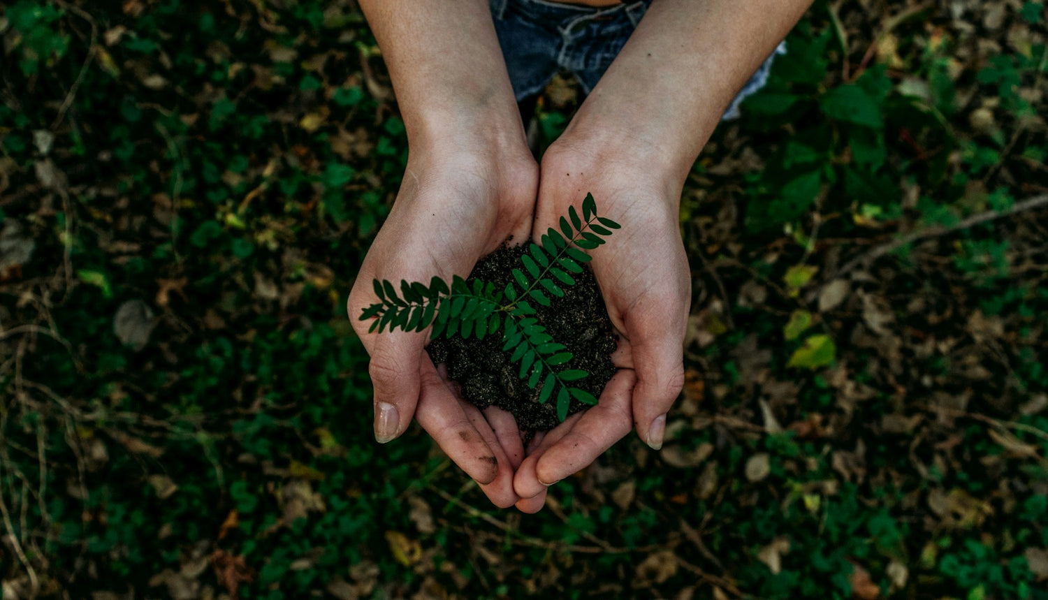 10 Biodegradable Products for the Planet