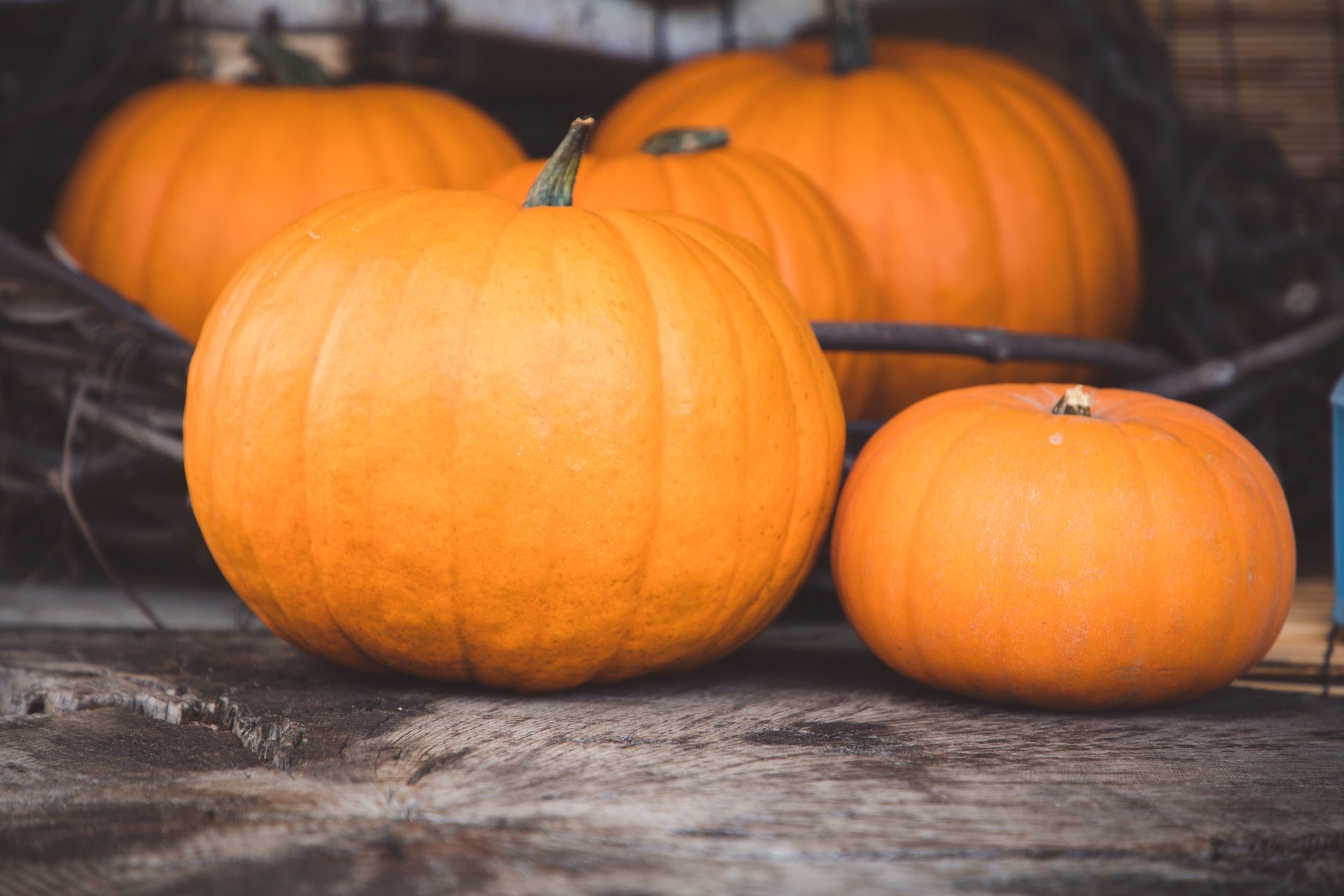 How to Remove Pumpkin Stains on Multiple Surfaces
