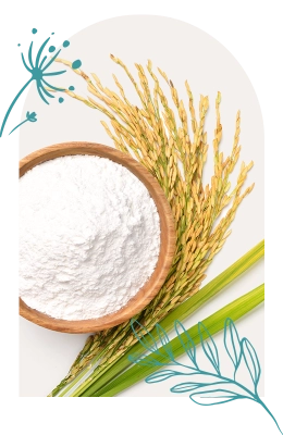 Oryza Sativa 1 df488f1d b343 42ef aa80 ca7b8bfbdfec