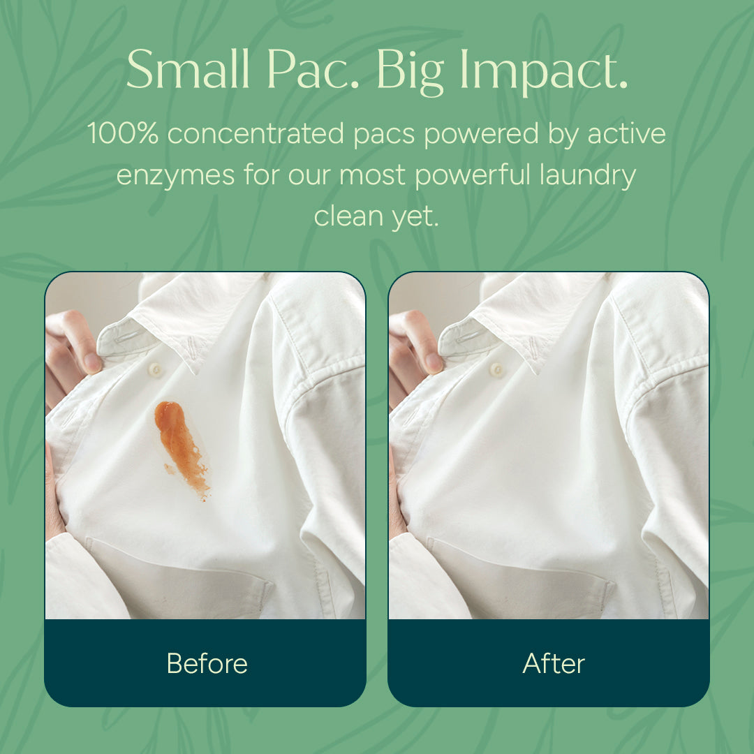 Back to School Reset: Easy Clean Bundle