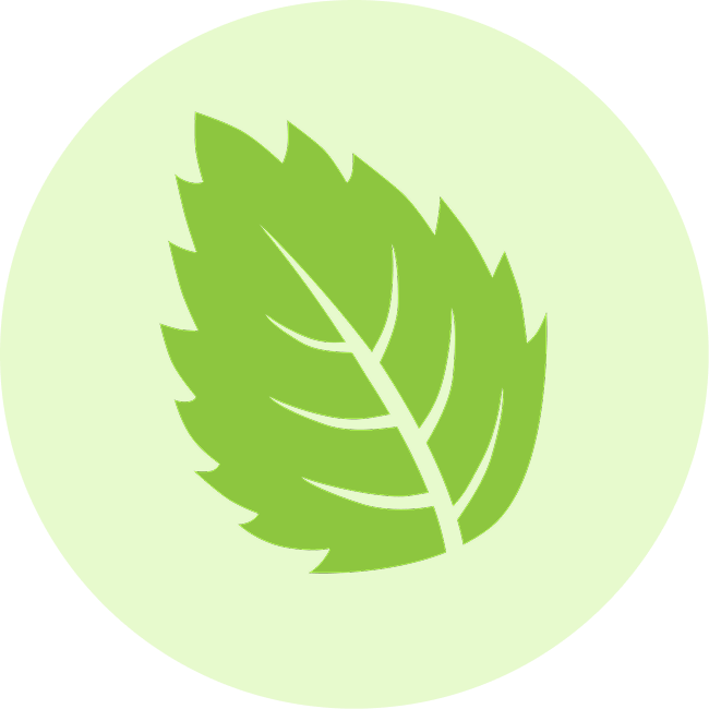 Cucumber Mint