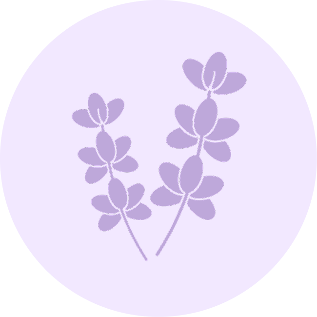 Lavender & Vanilla