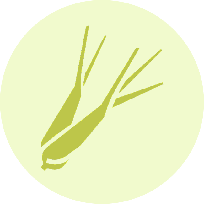 Organic Lemongrass