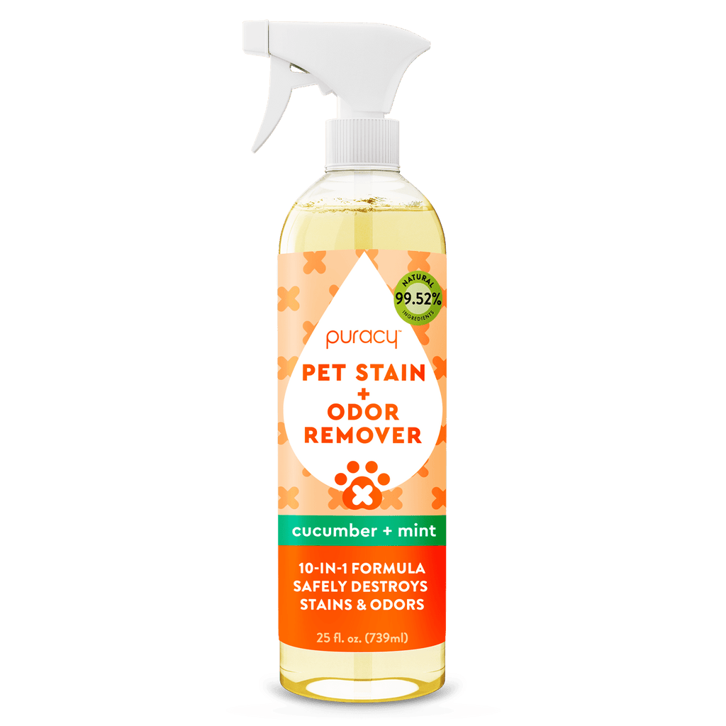People are loving this affordable carpet stain remover