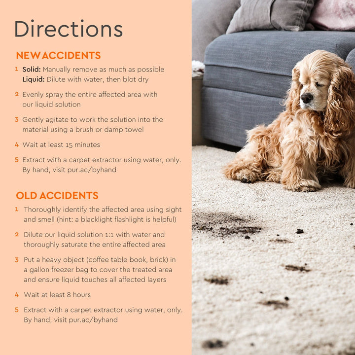 A golden dog lies on a carpet beside written directions and Pet Stain & Odor Remover.