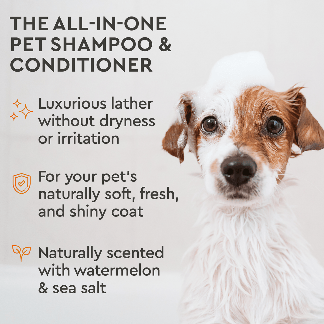 Reasons to Consider Using Pet Safe Cleaning Products