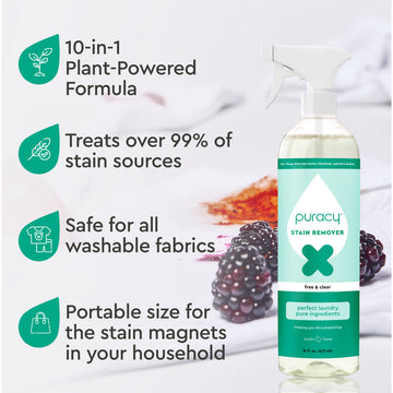 Laundry Concentrate and Stain Remover Travel & Gift Set
