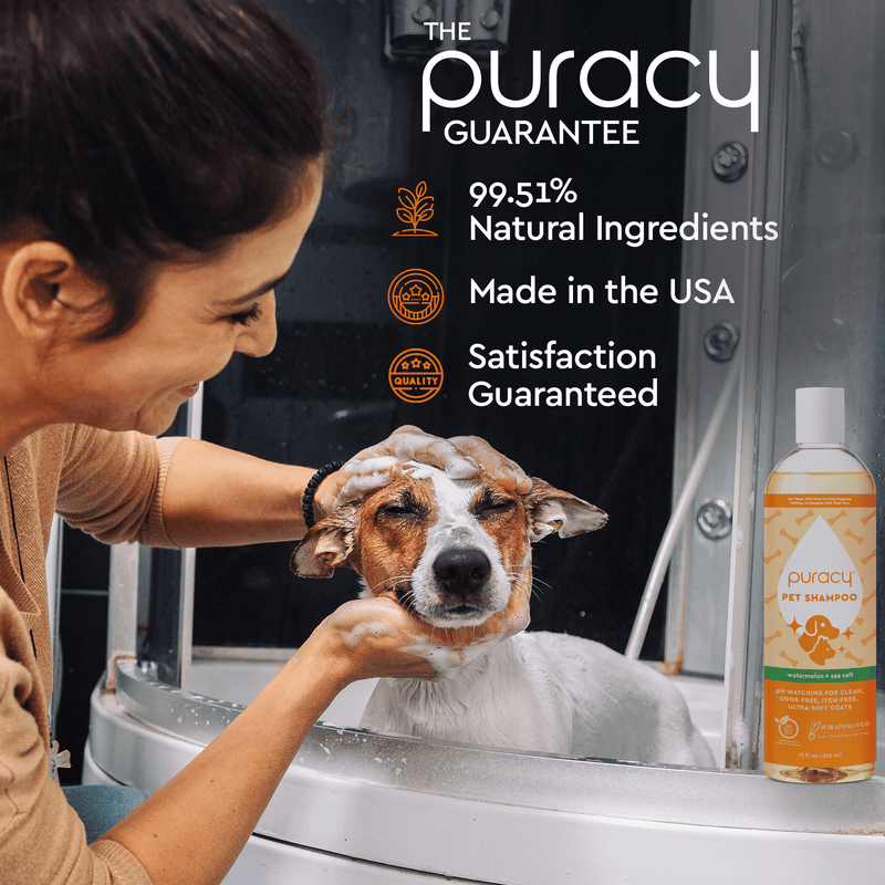 Reasons to Consider Using Pet Safe Cleaning Products
