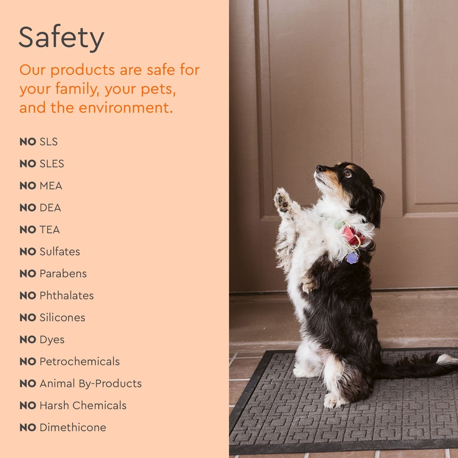 A dog sits upright on a mat beside Pet Stain & Odor Remover on a peach background.