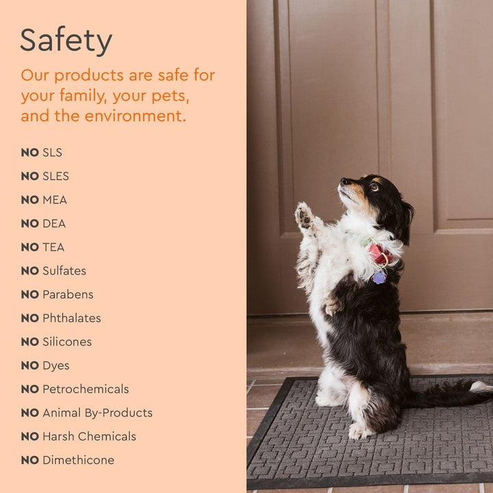 A dog sits upright on a mat beside Pet Stain & Odor Remover on a peach background.